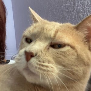 Meet your Posher, Dani